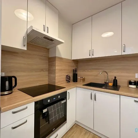 Апартаменты Boho - 10 Min To Old Town Gdansk,pkp & Shopping Mall Гданьск